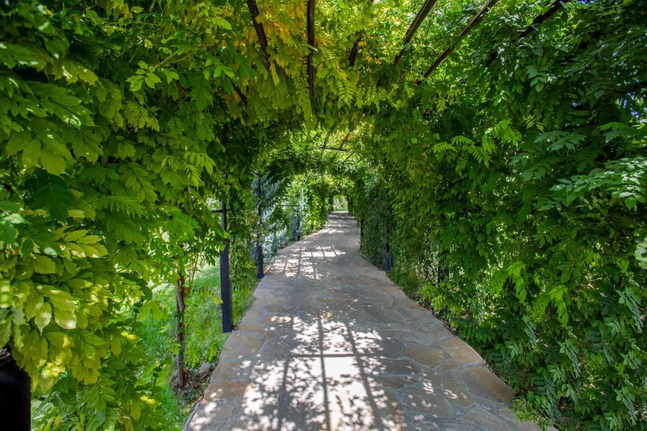 Ambassadori Kachreti Golf Resort Kachretʼi エクステリア 写真